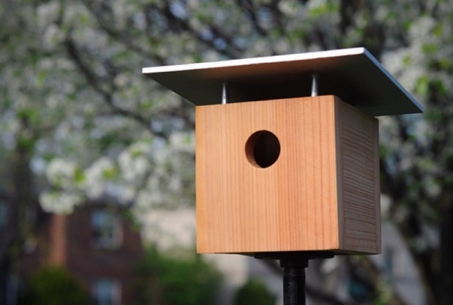 DIY Birdhouse Ideas