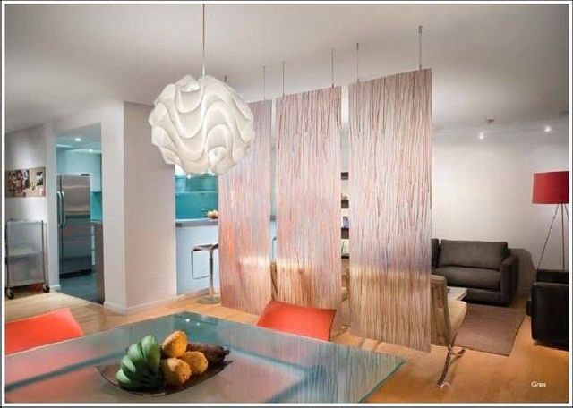 15 Creative Room Dividers For Studio Apartments Homeoholic
